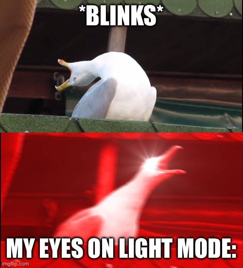 Screaming bird | *BLINKS*; MY EYES ON LIGHT MODE: | image tagged in screaming bird | made w/ Imgflip meme maker