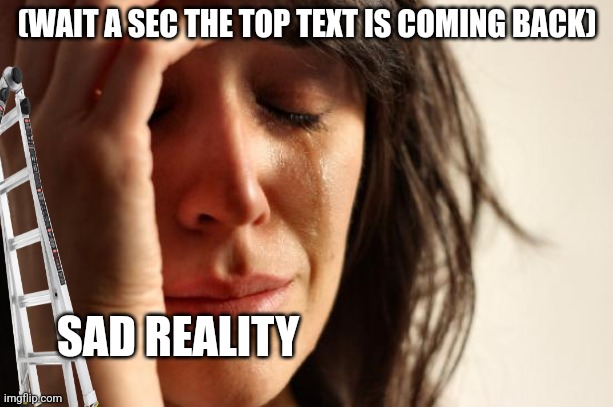 First World Problems Meme | (WAIT A SEC THE TOP TEXT IS COMING BACK) SAD REALITY | image tagged in memes,first world problems | made w/ Imgflip meme maker