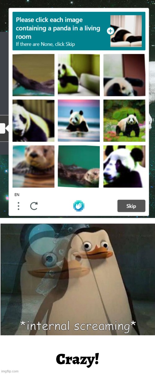 crazy captcha | image tagged in captcha,private internal screaming,screaming,funny,fun | made w/ Imgflip meme maker