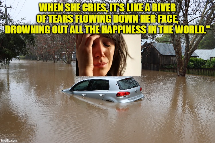 WHEN SHE CRIES, IT'S LIKE A RIVER OF TEARS FLOWING DOWN HER FACE, DROWNING OUT ALL THE HAPPINESS IN THE WORLD." | made w/ Imgflip meme maker