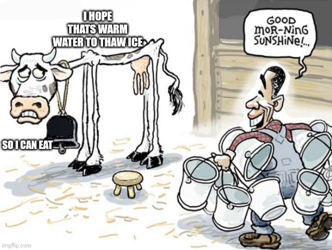 milking the cow | I HOPE THATS WARM WATER TO THAW ICE; SO I CAN EAT | image tagged in milking the cow | made w/ Imgflip meme maker