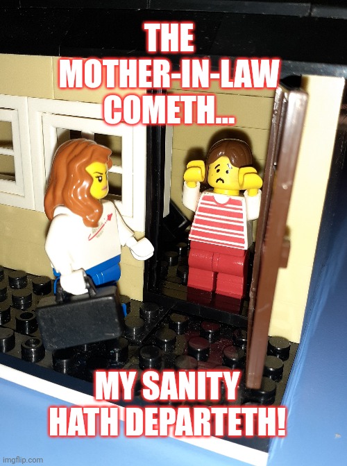 The Mother-in-law Cometh | THE MOTHER-IN-LAW COMETH... MY SANITY HATH DEPARTETH! | image tagged in mother in law | made w/ Imgflip meme maker