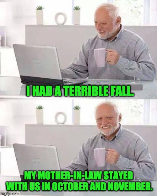 Fall | image tagged in bad pun | made w/ Imgflip meme maker