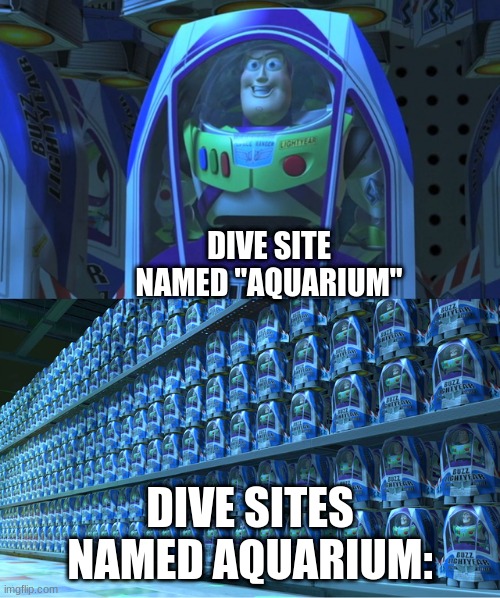 The amount of dive sites named Aquarium is just ridiculous. There's at least one in every country lol | DIVE SITE NAMED "AQUARIUM"; DIVE SITES NAMED AQUARIUM: | image tagged in buzz lightyear clones,aquarium,dive,scuba diving | made w/ Imgflip meme maker