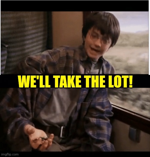 WE'LL TAKE THE LOT! | made w/ Imgflip meme maker