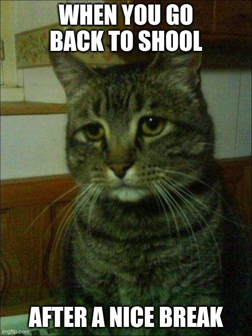 Depressed Cat | WHEN YOU GO BACK TO SHOOL; AFTER A NICE BREAK | image tagged in memes,depressed cat | made w/ Imgflip meme maker