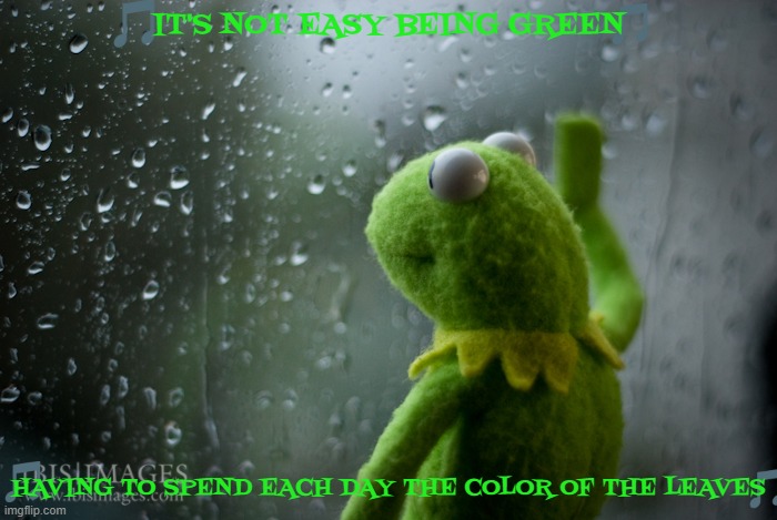 imgflip sings it's not easy being green | IT'S NOT EASY BEING GREEN; HAVING TO SPEND EACH DAY THE COLOR OF THE LEAVES | image tagged in kermit the frog rainy day,disney,the muppets,it's not easy being green,frogs | made w/ Imgflip meme maker