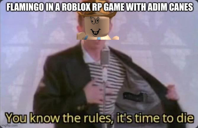 Too true | FLAMINGO IN A ROBLOX RP GAME WITH ADIM CANES | image tagged in you know the rules it's time to die | made w/ Imgflip meme maker