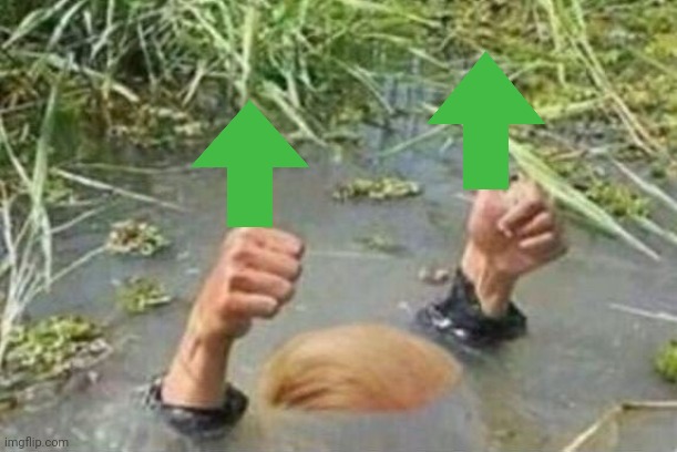 Trump drowns in his own swamp - no drain | image tagged in trump drowns in his own swamp - no drain | made w/ Imgflip meme maker