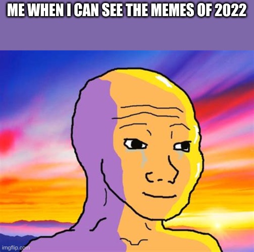 Dropdown menu top 2022 | ME WHEN I CAN SEE THE MEMES OF 2022 | image tagged in sunset wojak | made w/ Imgflip meme maker