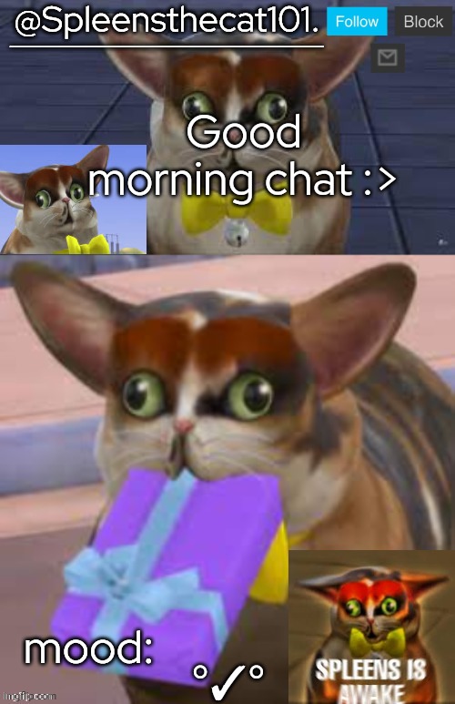 E | Good morning chat :>; °✓° | image tagged in spleensthecat101 | made w/ Imgflip meme maker