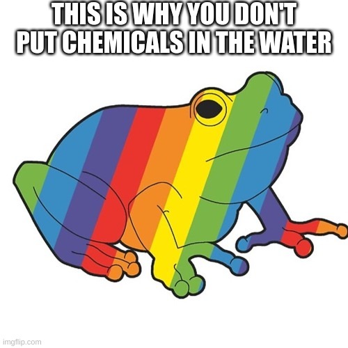 if you add a mod note, you will turn into a frog | THIS IS WHY YOU DON'T PUT CHEMICALS IN THE WATER | image tagged in kermit the frog,gay,homosexual,frog,pepe the frog,foul bachelor frog | made w/ Imgflip meme maker