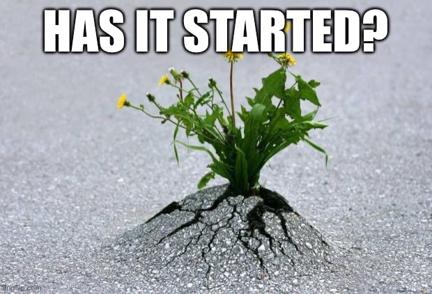 inspirational. | HAS IT STARTED? | image tagged in inspirational | made w/ Imgflip meme maker