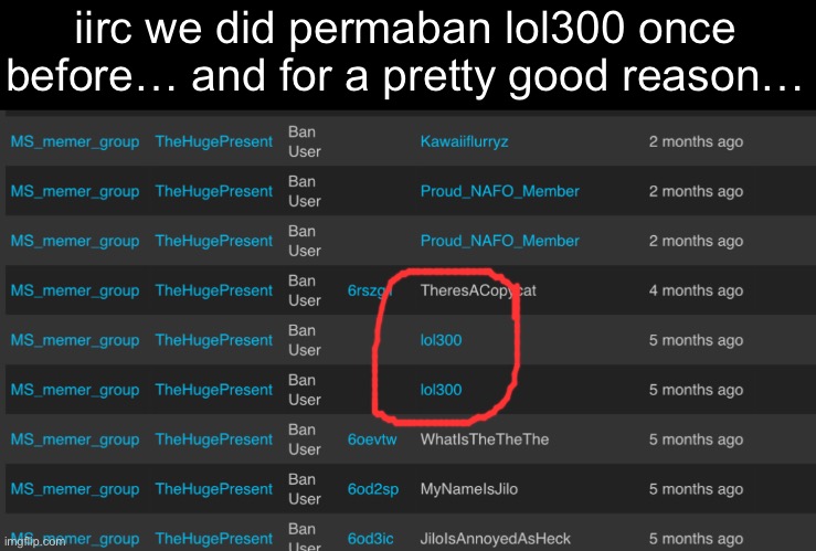 iirc we did permaban lol300 once before… and for a pretty good reason… | made w/ Imgflip meme maker