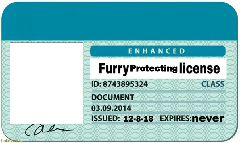 High Quality Furry Protecting Licence Blank Meme Template