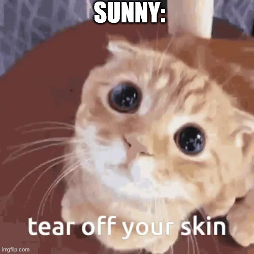 (my cat) | SUNNY: | image tagged in tear off your skin | made w/ Imgflip meme maker