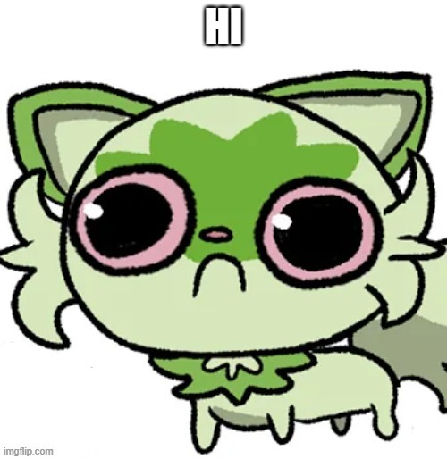 weed cat | HI | image tagged in weed cat | made w/ Imgflip meme maker