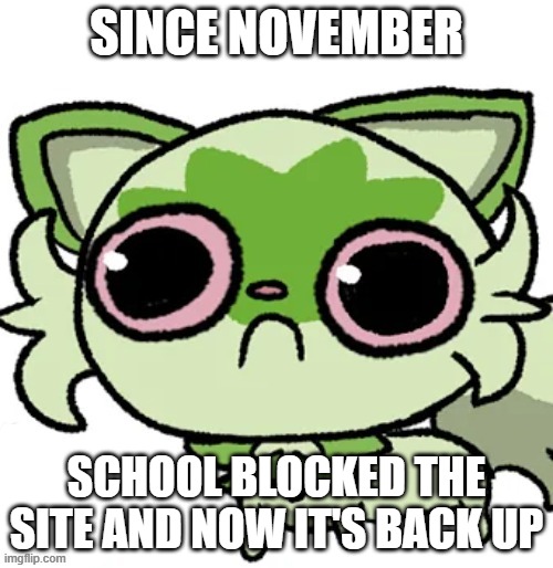 weed cat | SINCE NOVEMBER; SCHOOL BLOCKED THE SITE AND NOW IT'S BACK UP | image tagged in weed cat | made w/ Imgflip meme maker