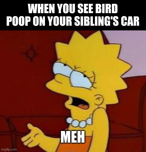 Not my Problem | WHEN YOU SEE BIRD POOP ON YOUR SIBLING'S CAR; MEH | image tagged in meh,the simpsons | made w/ Imgflip meme maker