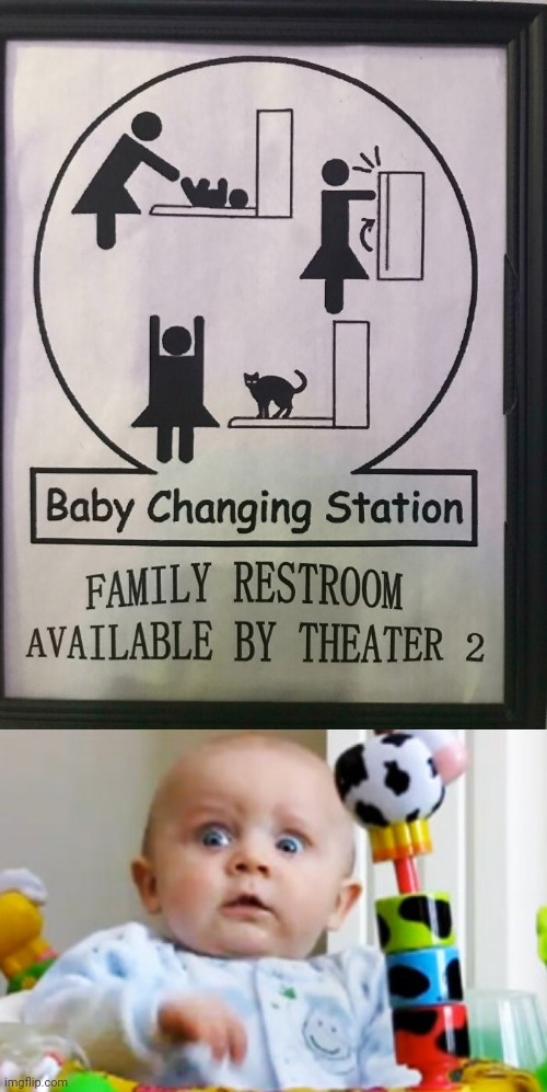 Baby turned into a cat | image tagged in shocked baby,cat,baby,you had one job,memes,fails | made w/ Imgflip meme maker