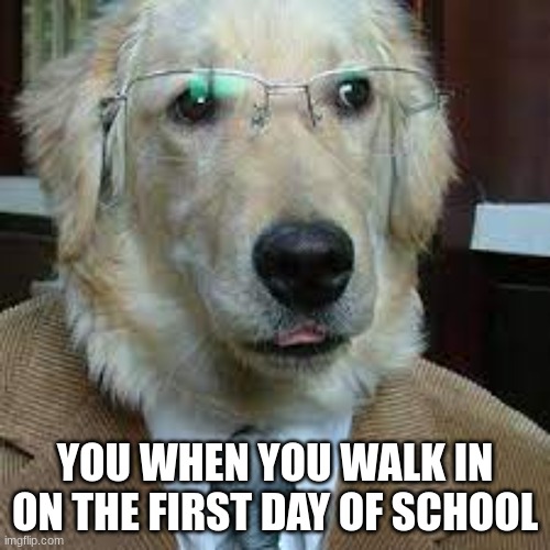 YOU WHEN YOU WALK IN ON THE FIRST DAY OF SCHOOL | made w/ Imgflip meme maker