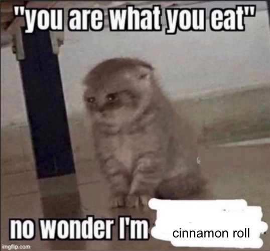 i ate them like a year ago (get it, get it??) | cinnamon roll | image tagged in you are what you eat | made w/ Imgflip meme maker