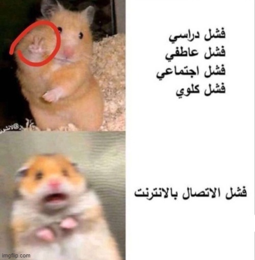 image tagged in foreign | made w/ Imgflip meme maker