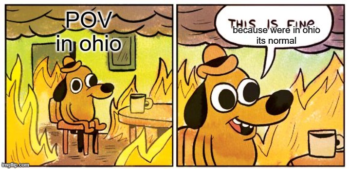 This Is Fine | POV
in ohio; because were in ohio
its normal | image tagged in memes,this is fine | made w/ Imgflip meme maker