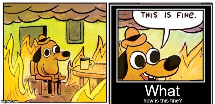 This Is Fine | What; how is this fine? | image tagged in memes,this is fine | made w/ Imgflip meme maker