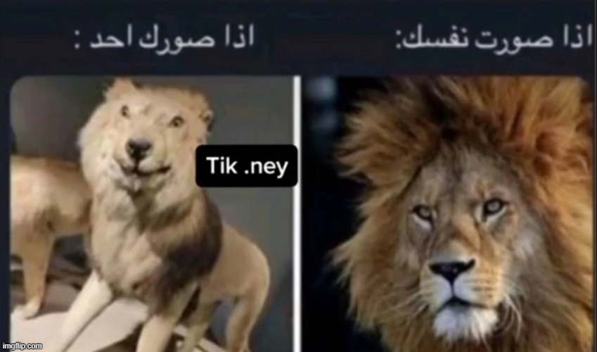image tagged in foreign | made w/ Imgflip meme maker