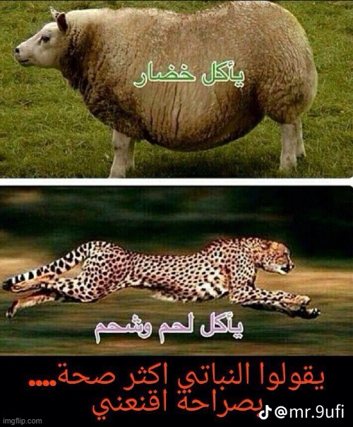 image tagged in foreign | made w/ Imgflip meme maker