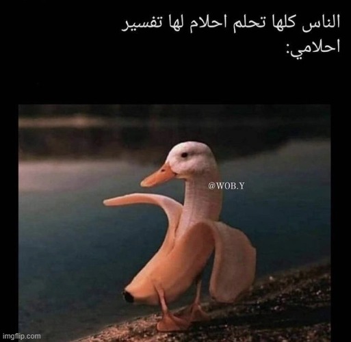 image tagged in foreign | made w/ Imgflip meme maker