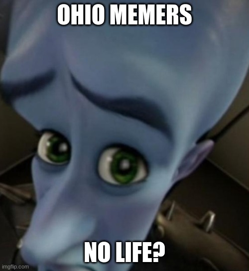 Really | OHIO MEMERS; NO LIFE? | image tagged in megamind no bitches | made w/ Imgflip meme maker