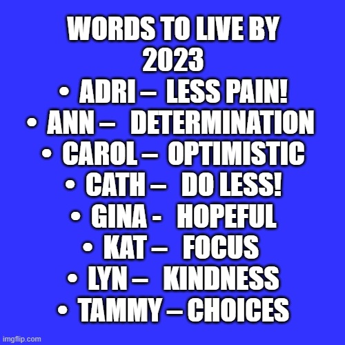 WORDS TO LIVE BY
2023


•	 ADRI –		LESS PAIN!

•	 ANN – 		DETERMINATION 

•	 CAROL – 	OPTIMISTIC

•	 CATH – 		DO LESS!

•	 GINA - 		HOPEFUL

•	 KAT – 		FOCUS 

•	 LYN – 		KINDNESS

•	 TAMMY –	CHOICES | made w/ Imgflip meme maker