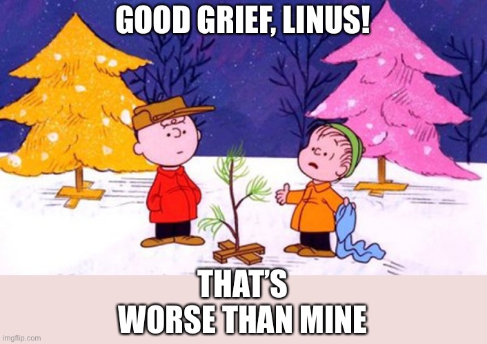 Charlie Brown Christmas Tree | GOOD GRIEF, LINUS! THAT’S WORSE THAN MINE | image tagged in charlie brown christmas tree | made w/ Imgflip meme maker