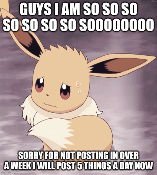 SORRY >~< | GUYS I AM SO SO SO SO SO SO SO SOOOOOOOO; SORRY FOR NOT POSTING IN OVER A WEEK I WILL POST 5 THINGS A DAY NOW | image tagged in sorry,eevee | made w/ Imgflip meme maker