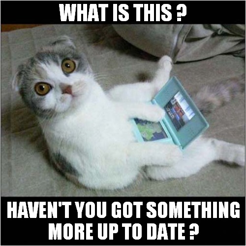 Cat Disappointed With Technology | WHAT IS THIS ? HAVEN'T YOU GOT SOMETHING
MORE UP TO DATE ? | image tagged in cats,computers,disappointed | made w/ Imgflip meme maker