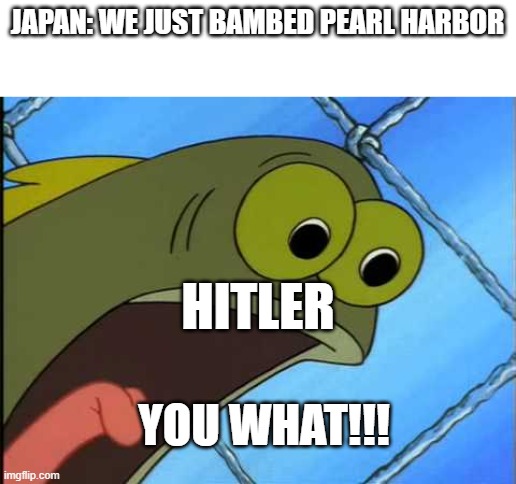 You what?! | JAPAN: WE JUST BAMBED PEARL HARBOR; HITLER; YOU WHAT!!! | image tagged in you what | made w/ Imgflip meme maker