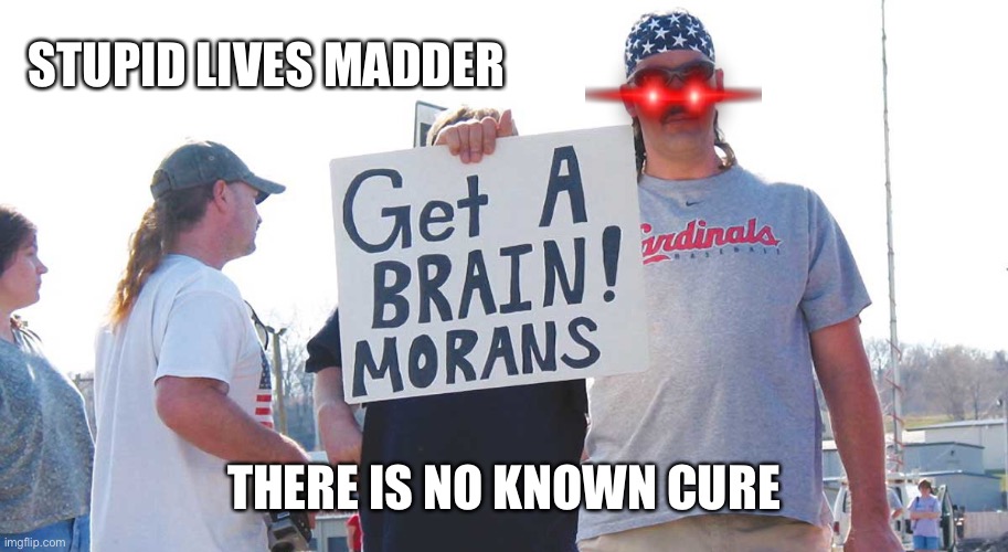 Get a brain morans | STUPID LIVES MADDER THERE IS NO KNOWN CURE | image tagged in get a brain morans | made w/ Imgflip meme maker