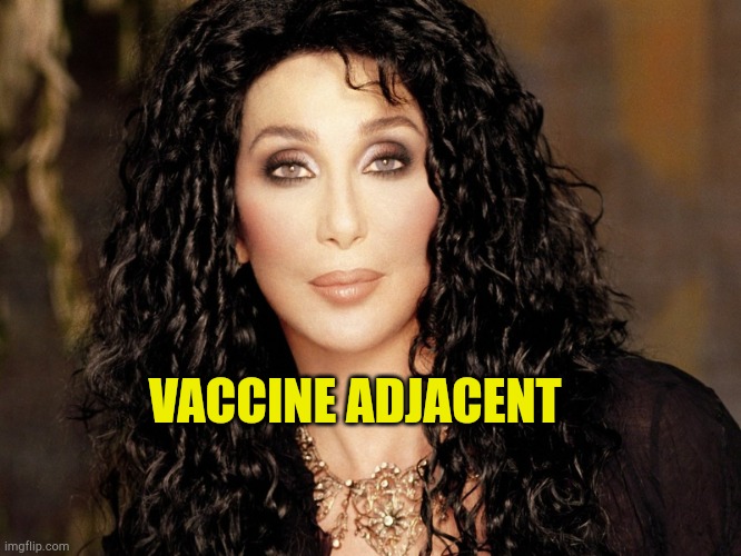 Too Smart For Flu Shot |  VACCINE ADJACENT | image tagged in cher,calling in sick,antivax,victim,liberal logic,fake people | made w/ Imgflip meme maker