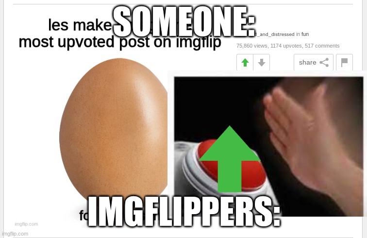 WHY | SOMEONE:; IMGFLIPPERS: | image tagged in why,lol,funny,button | made w/ Imgflip meme maker