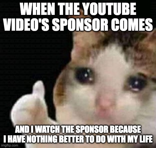 based on a true story | WHEN THE YOUTUBE VIDEO'S SPONSOR COMES; AND I WATCH THE SPONSOR BECAUSE I HAVE NOTHING BETTER TO DO WITH MY LIFE | image tagged in sad thumbs up cat,cat,sad,true story | made w/ Imgflip meme maker