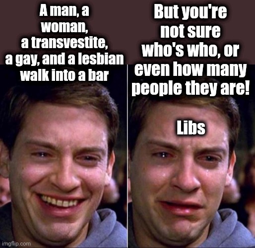 But you're not sure who's who, or even how many people they are! A man, a woman,
a transvestite,
a gay, and a lesbian
walk into a bar; Libs | image tagged in memes,peter parker cry,liberals,democrats,walk into a bar,joke | made w/ Imgflip meme maker