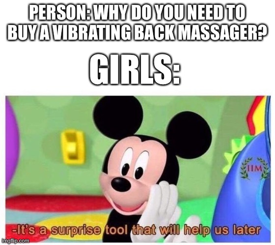 I’m sure anyone will understand this reference | PERSON: WHY DO YOU NEED TO BUY A VIBRATING BACK MASSAGER? GIRLS: | image tagged in it's a surprise tool that will help us later | made w/ Imgflip meme maker