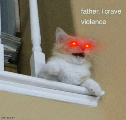 father, I crave violence cat | image tagged in father i crave violence cat | made w/ Imgflip meme maker