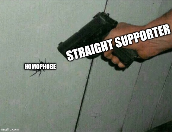 Need I say more? | STRAIGHT SUPPORTER; HOMOPHOBE | image tagged in not today | made w/ Imgflip meme maker