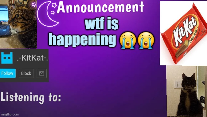 Kitty's announcment temp V3 | wtf is happening 😭😭 | image tagged in kitty's announcment temp v3 | made w/ Imgflip meme maker