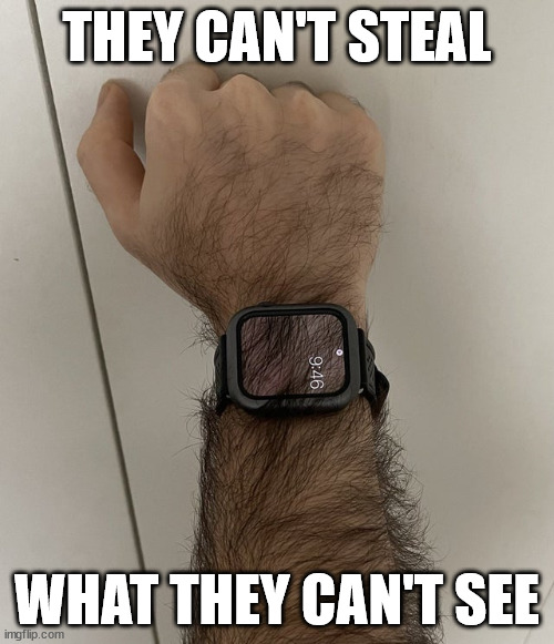 It's camouflage time | THEY CAN'T STEAL; WHAT THEY CAN'T SEE | image tagged in watch | made w/ Imgflip meme maker