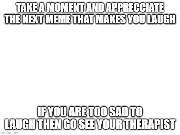 Stop Scrolling For A Bit | TAKE A MOMENT AND APPRECCIATE THE NEXT MEME THAT MAKES YOU LAUGH; IF YOU ARE TOO SAD TO LAUGH THEN GO SEE YOUR THERAPIST | image tagged in fun | made w/ Imgflip meme maker