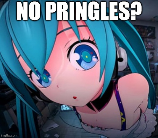 i'm hungry asf | NO PRINGLES? | image tagged in miku fisheye | made w/ Imgflip meme maker